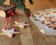 Bolachas de Natal